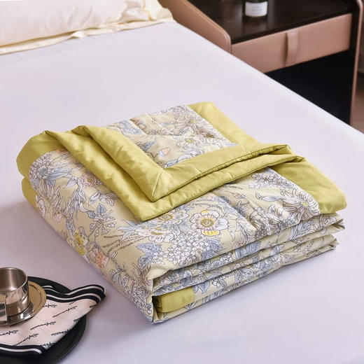 圣夫妮  夏被 新式棉麻夏被 商品图5