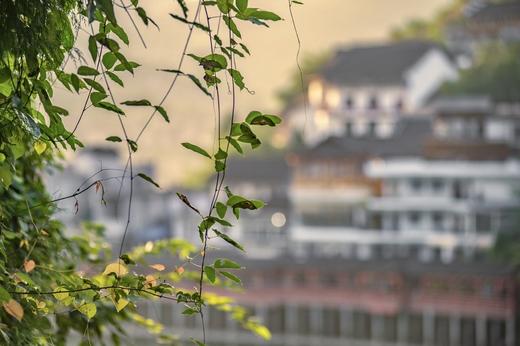 湘西苗族•六月六苗歌节：湖南凤凰古城、苗族赶集、非遗文化、芙蓉古镇、矮寨大桥6天深度风光民俗摄影团 商品图0