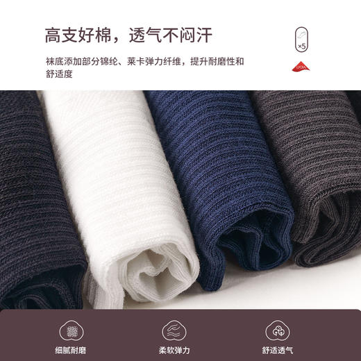 莱卡长绒棉短袜礼盒 商品图4