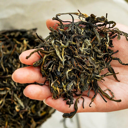 【龙团贡茶—那罕】云南普洱茶生茶团茶礼盒装与茶农强强联合良心好茶500g/团 商品图2