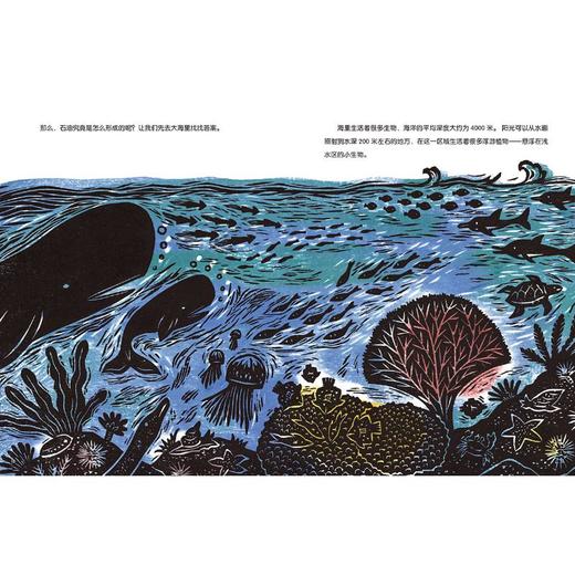 有魔法的液体 石油的故事  商品图0