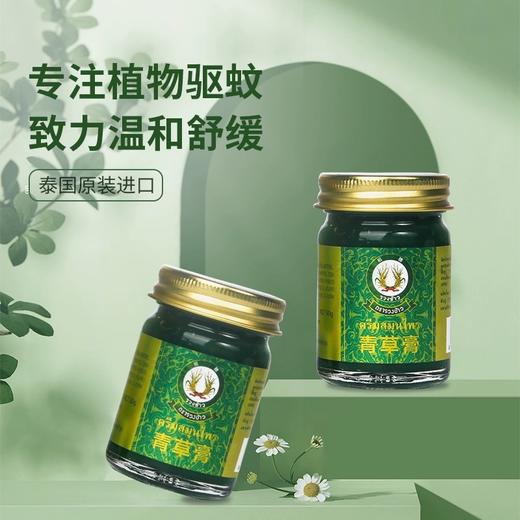 泰国稻穗青草膏15g 长效驱蚊 防蚊止痒 商品图1