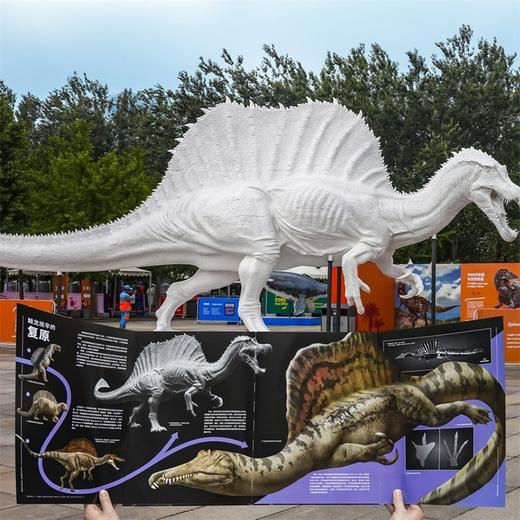 PNSO恐龙博物馆（4册） 商品图7