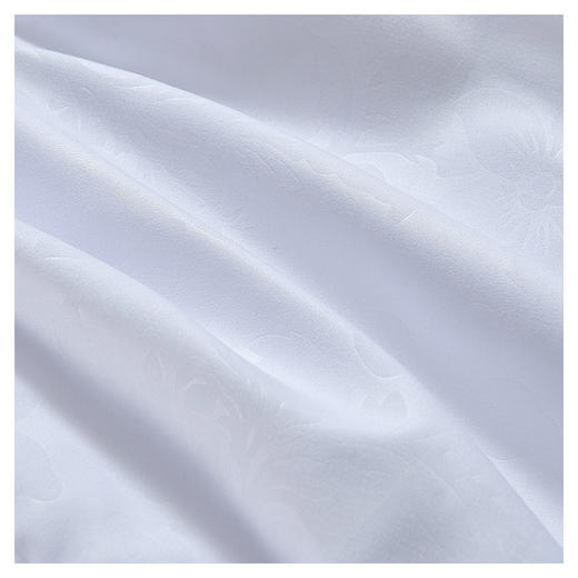 富安娜 艾瑞丝磨毛压花四季春秋被子 203*229cm 800g 商品图1