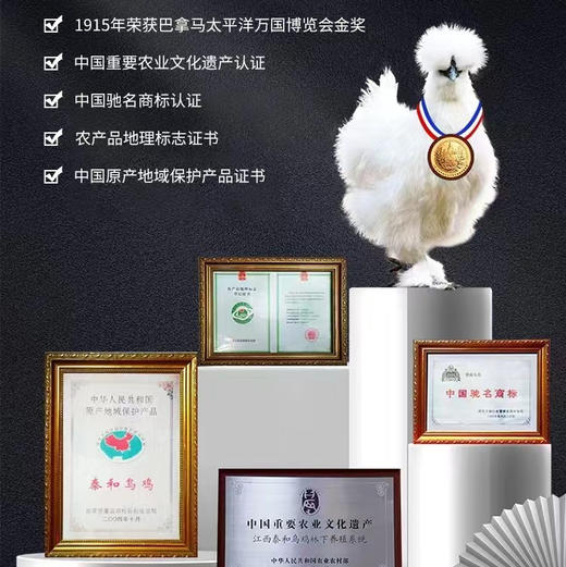 【泰和乌鸡】中国乌鸡原种！世界地理标志产品！富硒乌鸡白凤丸原材料！神州3号航天实验鸡！中国中药农业文化遗产..... 商品图9