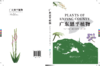 广东恩平植物 2037 商品缩略图11