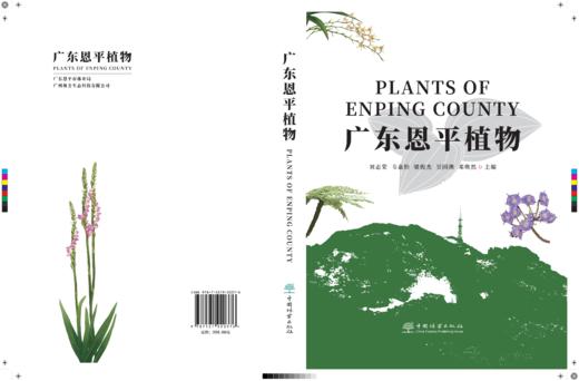广东恩平植物 2037 商品图11