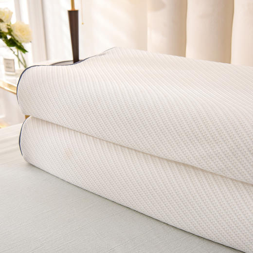 圣夫妮  乳胶枕 皇家SPA按摩乳胶枕（单个装）SFN-003 商品图1