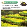 外婆家正宗纯正压榨菜籽油5升桶非转基低芥酸商用家用5l食用油 商品缩略图2