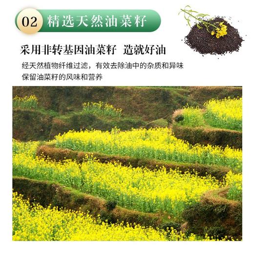 外婆家正宗纯正压榨菜籽油5升桶非转基低芥酸商用家用5l食用油 商品图2