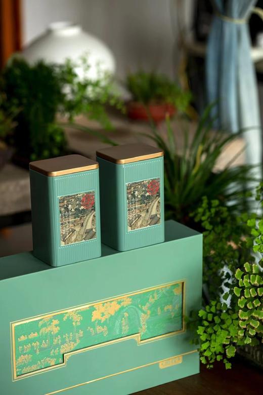 空礼盒-礼 精品信阳毛尖250g 商品图2