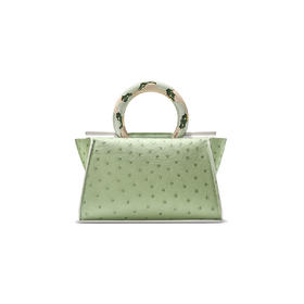 星辉云鬟包(鸵鸟皮）