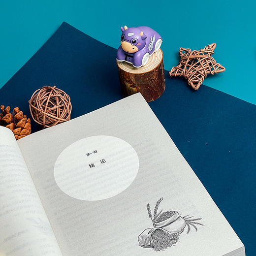 通路 农村家庭教育支付能力探索 商品图1