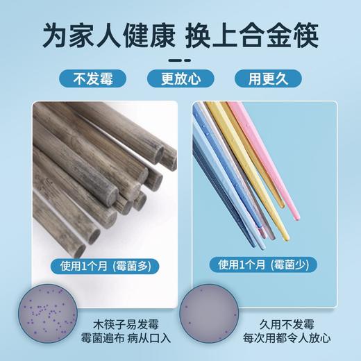 炊大皇 5色分餐筷  防锈抗霉合金筷子 10双装 商品图2