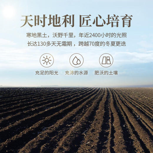 裕道府五常大米长粒香米5kg有嚼劲大米GB/T 1354 商品图4