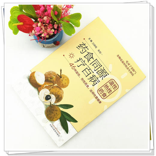 【出版社直销】药食同源疗百病（温性热性药食） 吕沛宛 朱培一 著  中国中医药出版社 商品图2