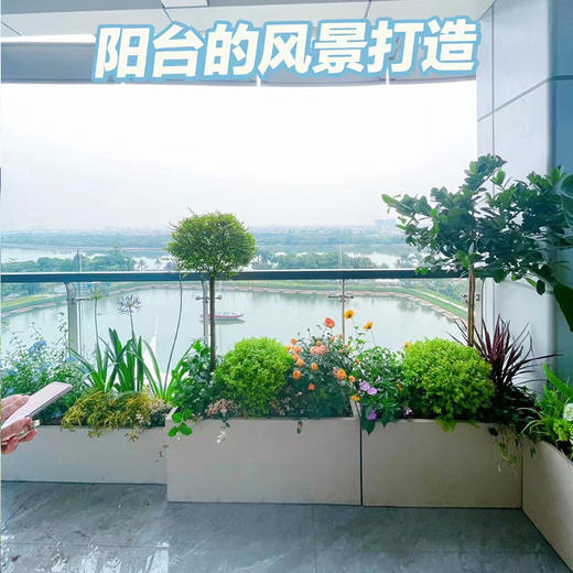 【绿植花箱布置】阳台花园风景庭院好养绿植花箱组合定制设计上门布置北欧风高级感满满 商品图0