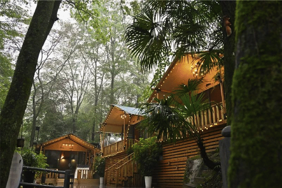 周末不加价【青城山温泉度假】仅298元起住尊铂森林温泉酒店，享早餐、汤泉、下午茶、白果炖鸡汤锅等！还有网鱼体验哦