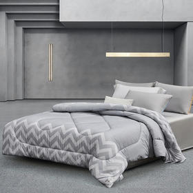 水星家纺典雅负离子抗菌四季被123009