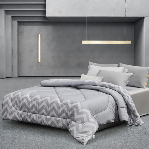 水星家纺典雅负离子抗菌四季被123009 商品图0