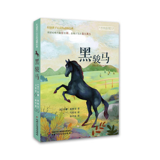 打动孩子心灵的动物经典—— 黑骏马 公认的描写动物ZUI成功的小说。阅读动物的酸甜苦辣，也是品味人性的善恶美丑。国际儿童读物联盟翻译奖得主马爱农权威全译本。 商品图0