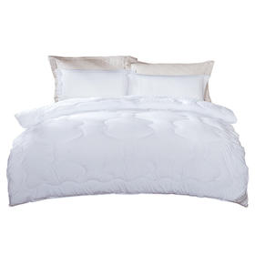 富安娜 逸享抗菌四季被 203*229cm 1000g