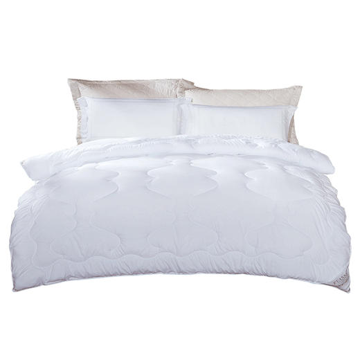 富安娜 逸享抗菌四季被 203*229cm 1000g 商品图0