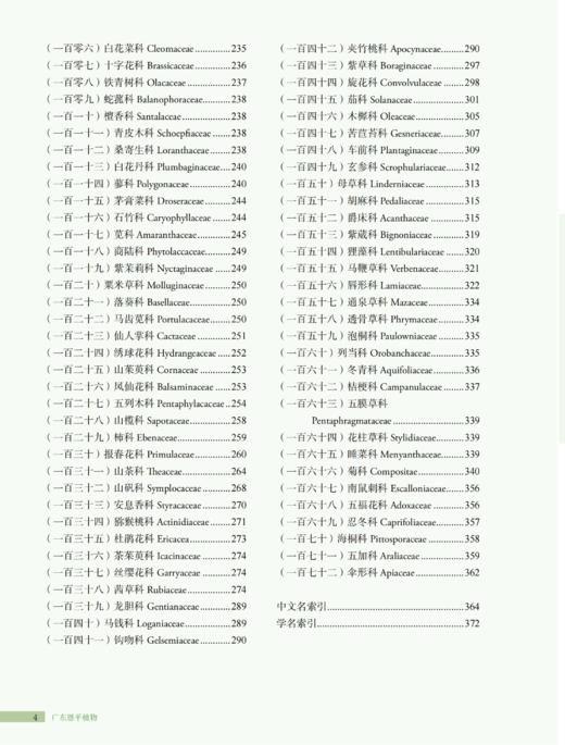 广东恩平植物 2037 商品图4