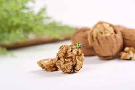 神农架原森堂野生山核桃--组合款500g 商品图2
