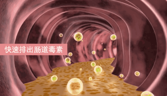 便秘/肠炎有救了！饭后吃口它，清肠毐、肠健康！肚腩口臭都消失！皮肤也变好~