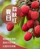 24节气夏季系列-夏至荔枝红 商品缩略图0