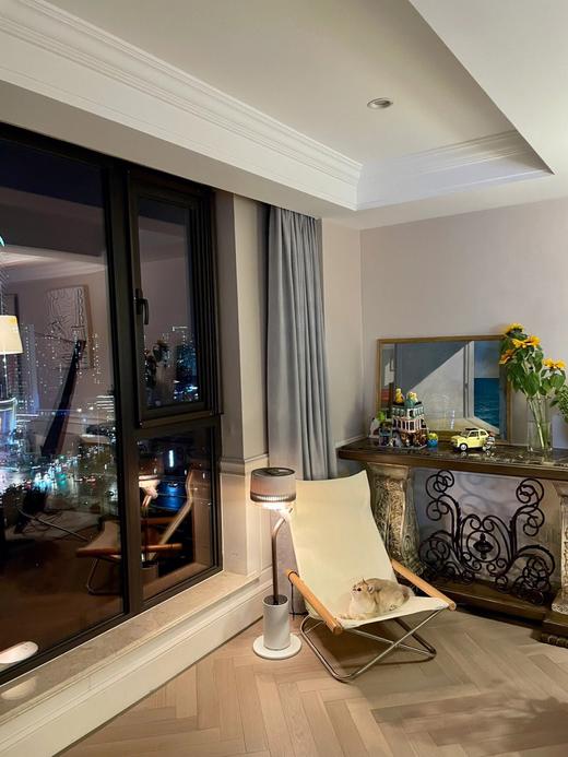 大宇空气循环扇 家用轻音立式智能摇头落地扇净化氛围灯小型电风扇F30 PRO 商品图3