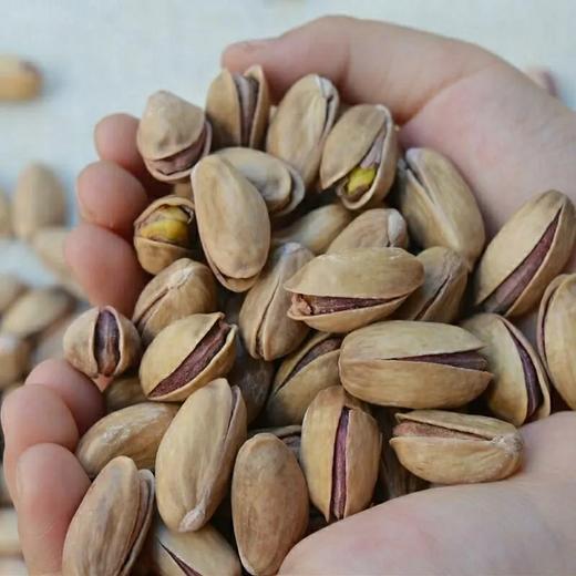 天山农夫-土耳其开心果258g 商品图1