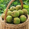 脆冠梨2粒约800g/份 商品缩略图1