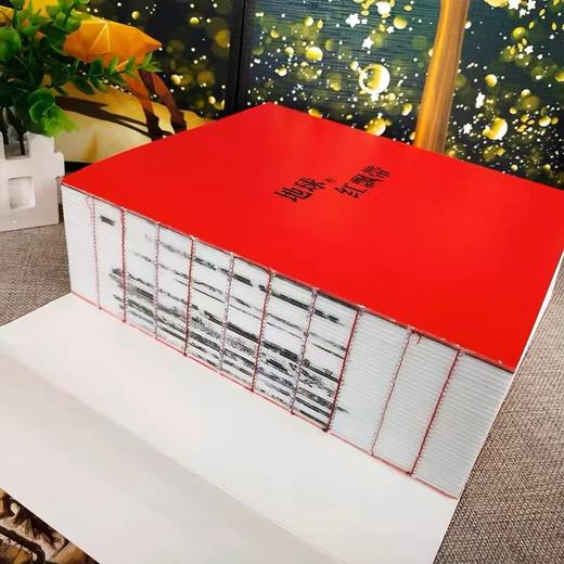 地球的红飘带【现货包邮】LHH0028 商品图3