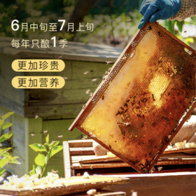 【门店请货版10件以上】东北椴树蜂蜜  源自东北长白山自然保护区的椴树蜜 500g/瓶