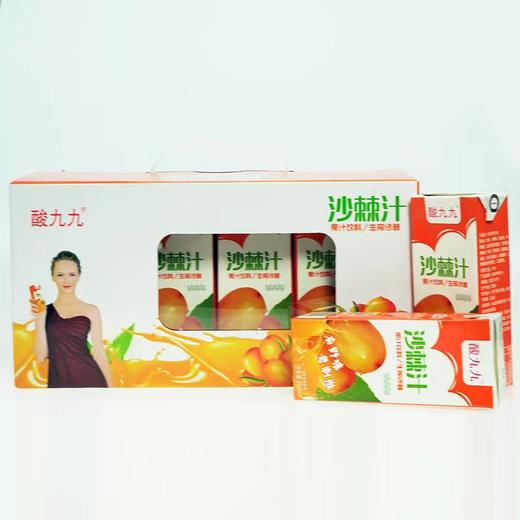 【甘肃甄选】酸九九沙棘汁（利乐包）250ml×12盒*2盒 商品图0