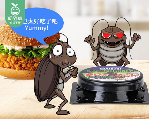 日本叮叮杀蟑饵剂/1盒（6个） 商品图2