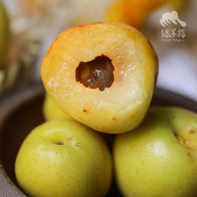 生态荷兰香蜜杏  | 合作生产 * Eco-Sweet apricot | Partner Production