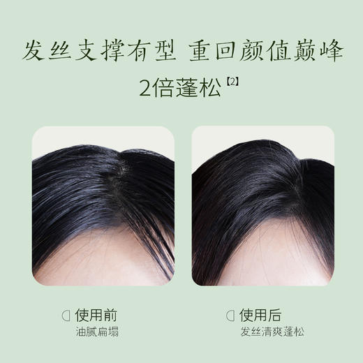 【半亩花田】新款控油蓬松香氛洗发水洗发露液去屑止痒去油柔顺洗头膏男女 商品图6