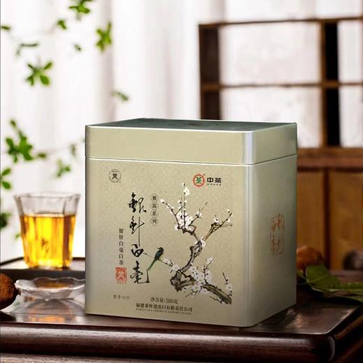 2023中茶蝴蝶5135福鼎银针白毫白茶500g罐装 商品图0