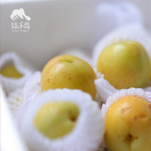 生态荷兰香蜜杏  | 合作生产 * Eco-Sweet apricot | Partner Production 商品图4