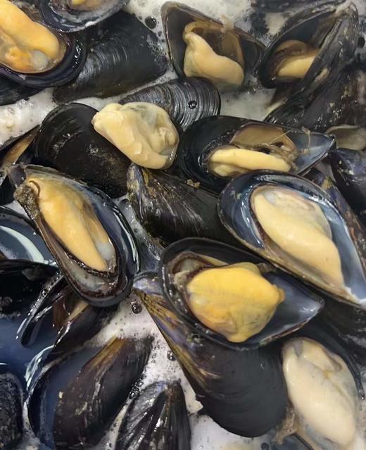 野生淡菜鲜活海鲜螺贝壳特大 海虹 贻贝 商品图2