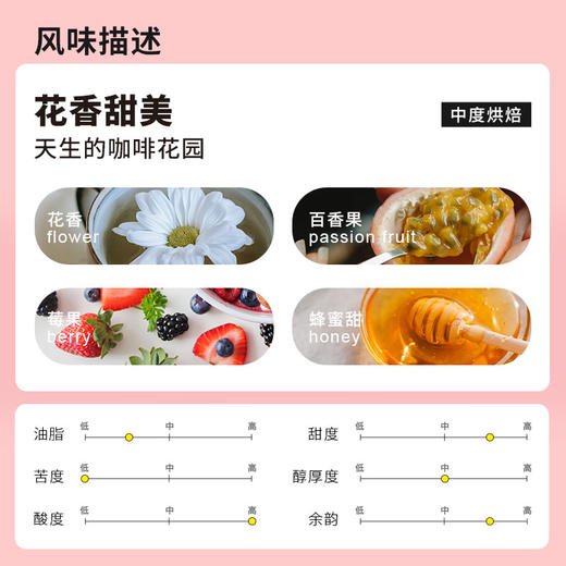 花魁日晒SOE 意式咖啡豆/粉埃塞俄比亚单一产地浓缩中度烘焙 商品图1