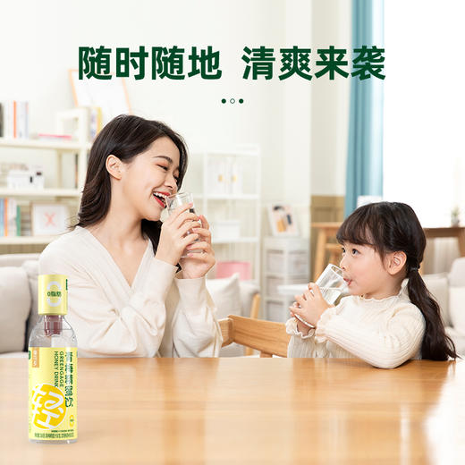 【2赠1】梅花乡 新版青梅精蜂蜜水分离式0脂无添加便携饮料336g*6 整箱 商品图2