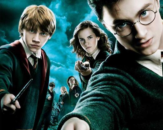 【电影】《哈利波特与凤凰社》德语版 商品图0