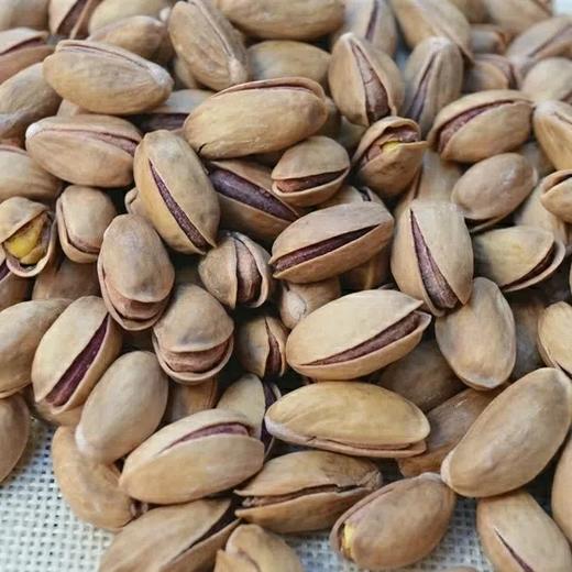 天山农夫-土耳其开心果258g 商品图3