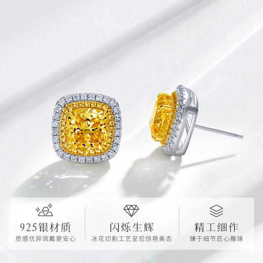 Winy925纯银蒂芙之霓耳钉送女友闺蜜节日生日礼物 商品图1