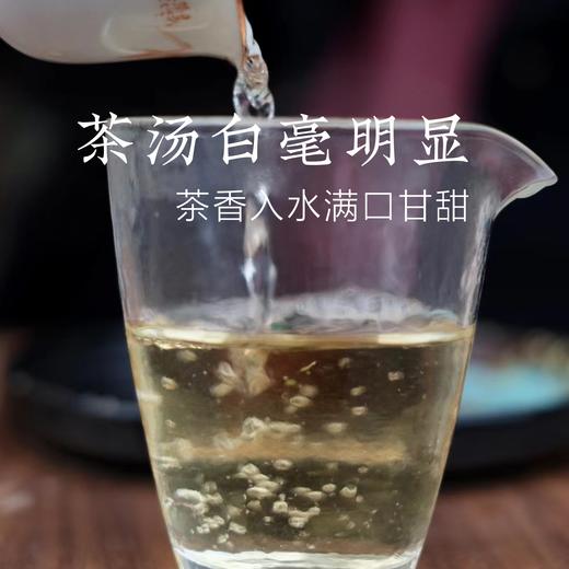 瑞雪之年获奖茶 2022 年白牡丹 收藏级福鼎白茶散茶 商品图7