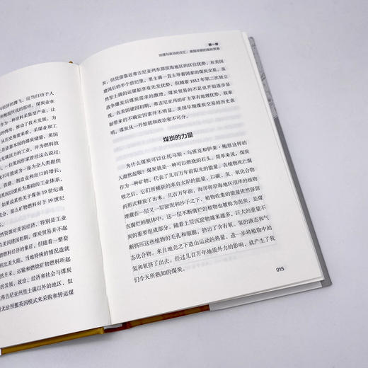 黑金时代 煤炭、政治与美国的工业化抉择 商品图2